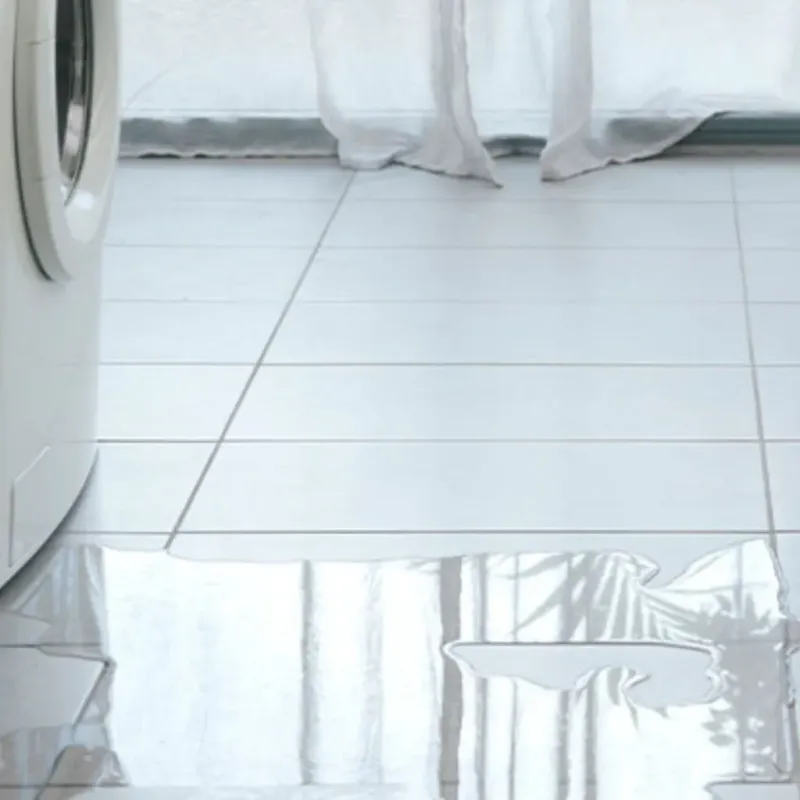Appliance Leak Cleanup in Lenawee County, MI