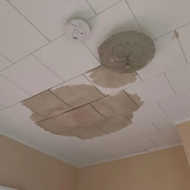 Ceiling Water Damage Repair in Lenawee County, MI