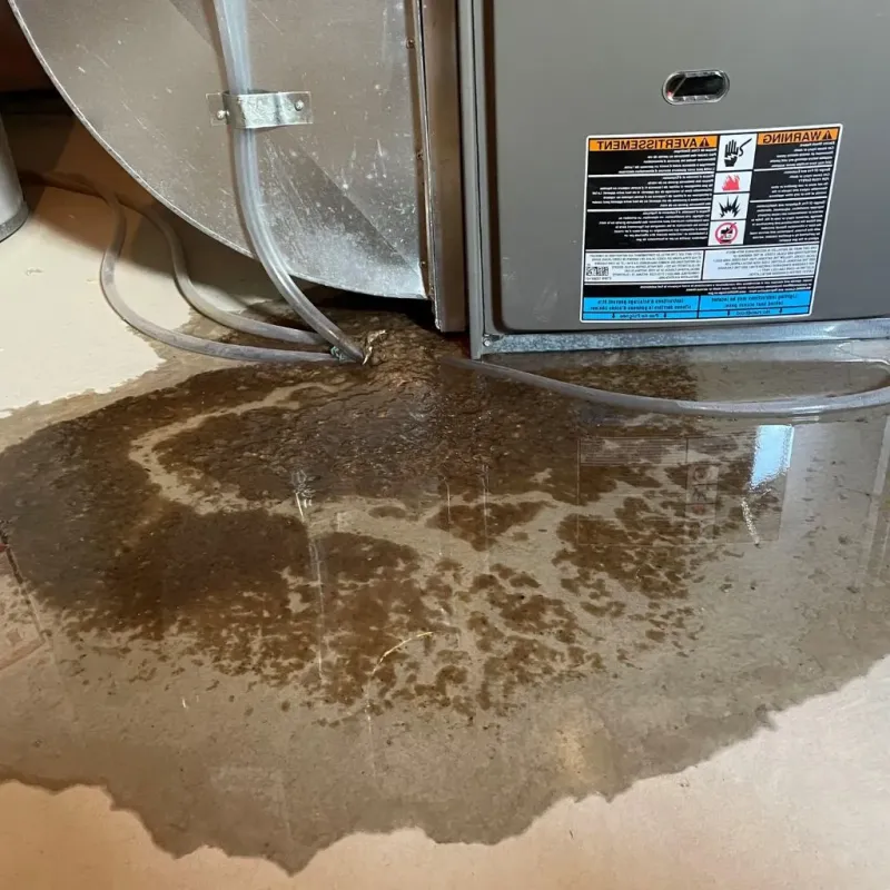 Pipe Burst and Leak Restoration in Lenawee County, MI