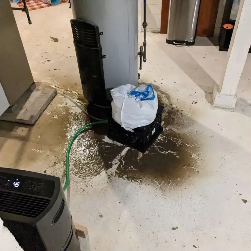 Sewage Backup Cleanup Service in Lenawee County, MI